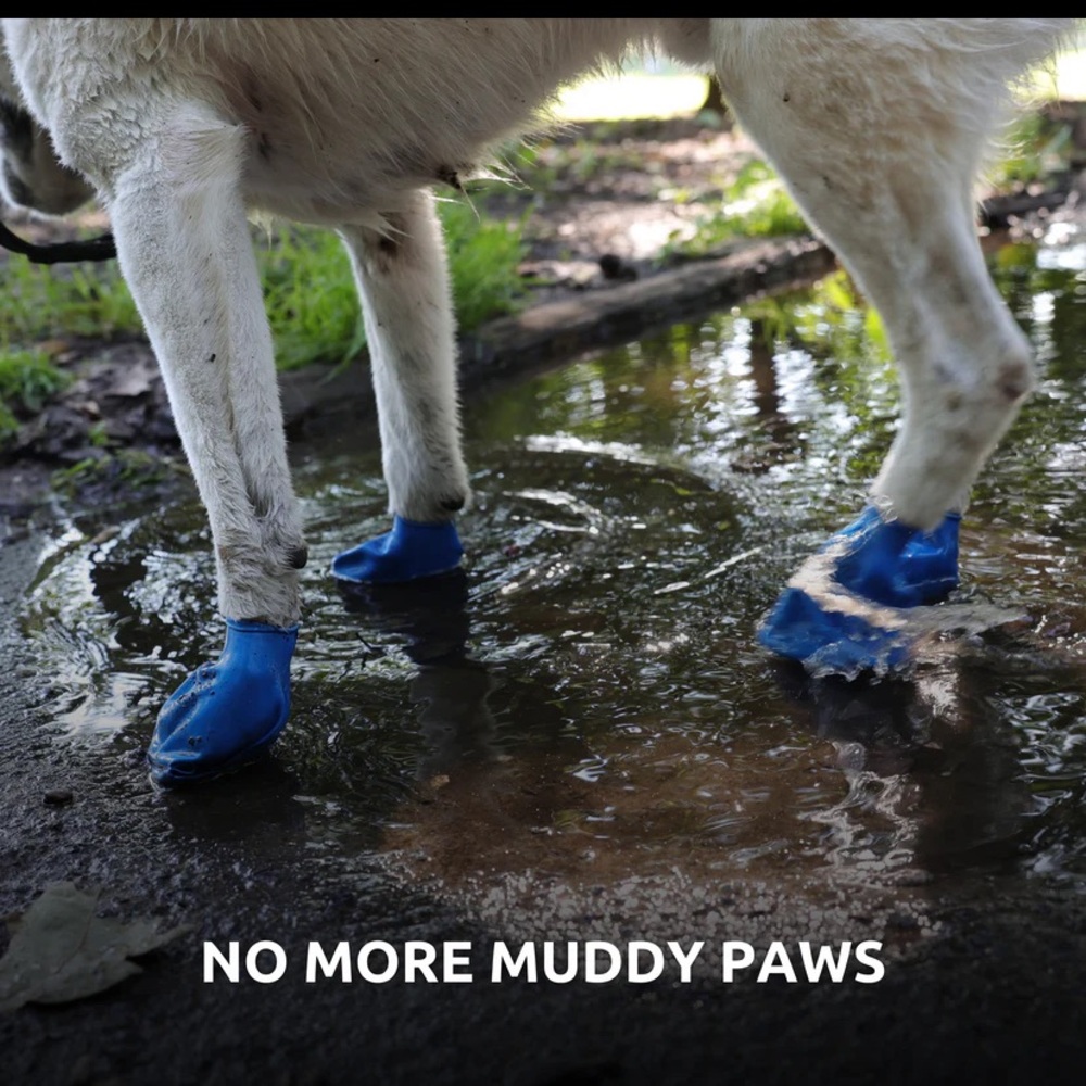 PawZ Rubber Dog Boots - Medium - New in Box